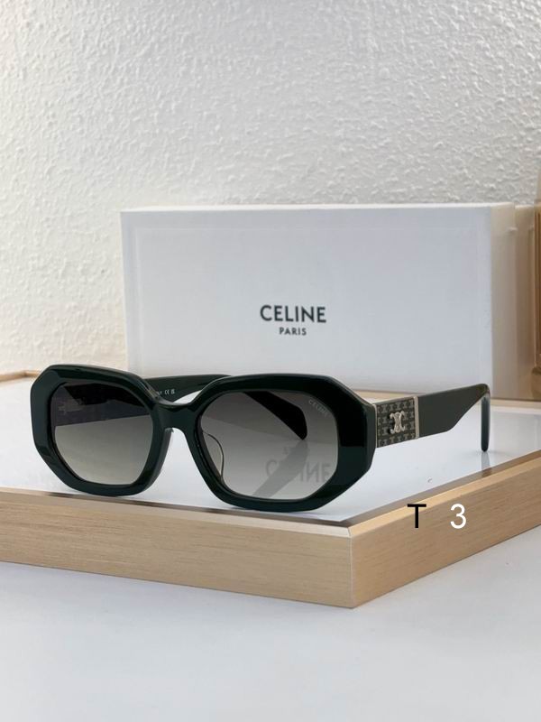 CELINE CL40169U 55 17-145 c05