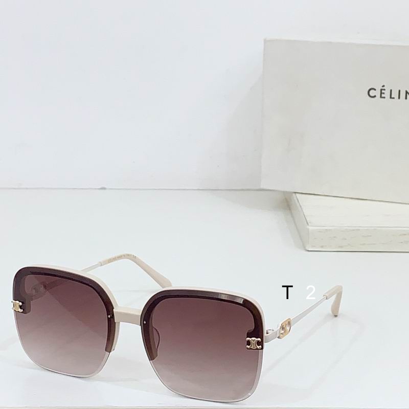 CELINE CL40251 60 14-145 b03