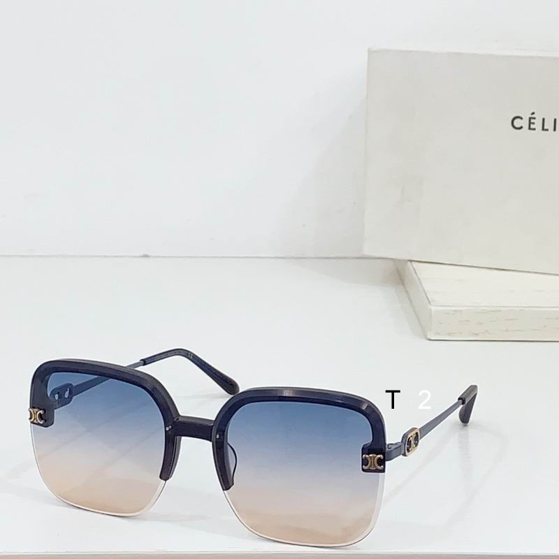 CELINE CL40251 60 14-145 b05