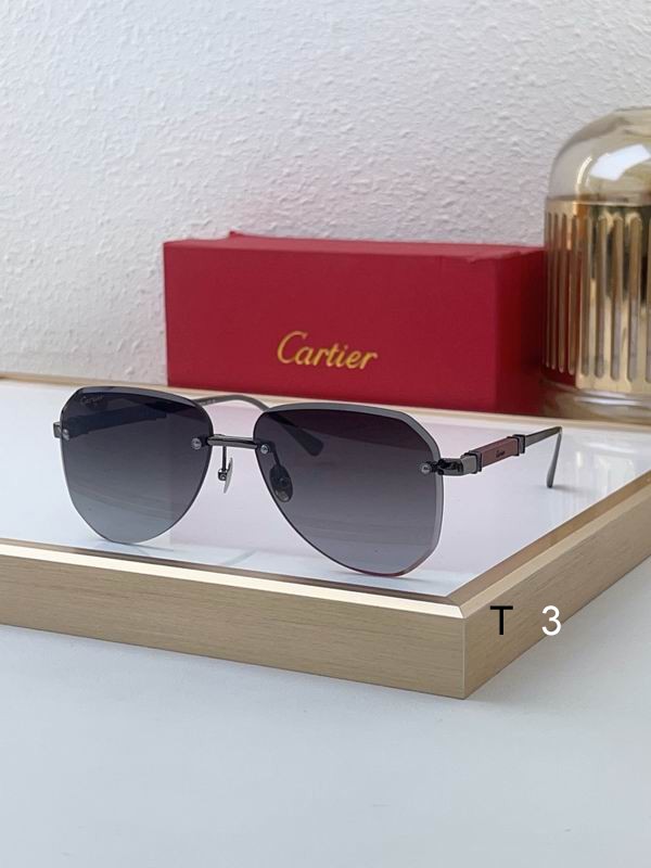 Cartie CT0509S 59 16-145 c04