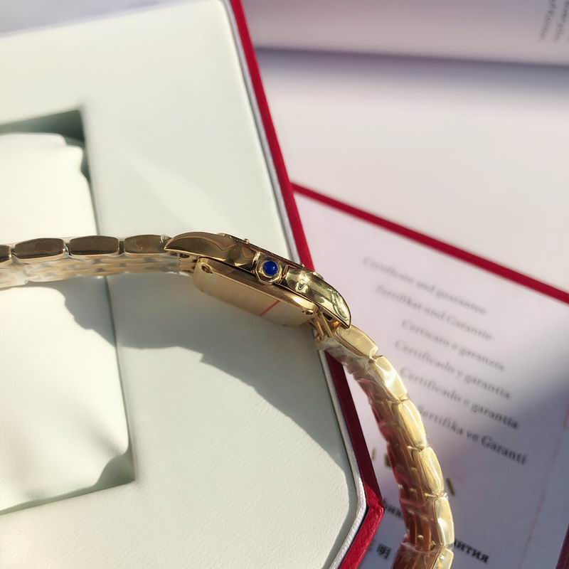 Cartier 22mm 73 (12)