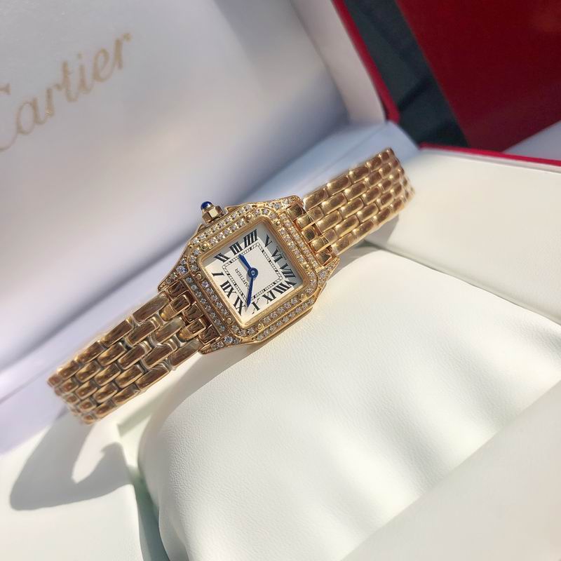 Cartier 22mm 73 (13)