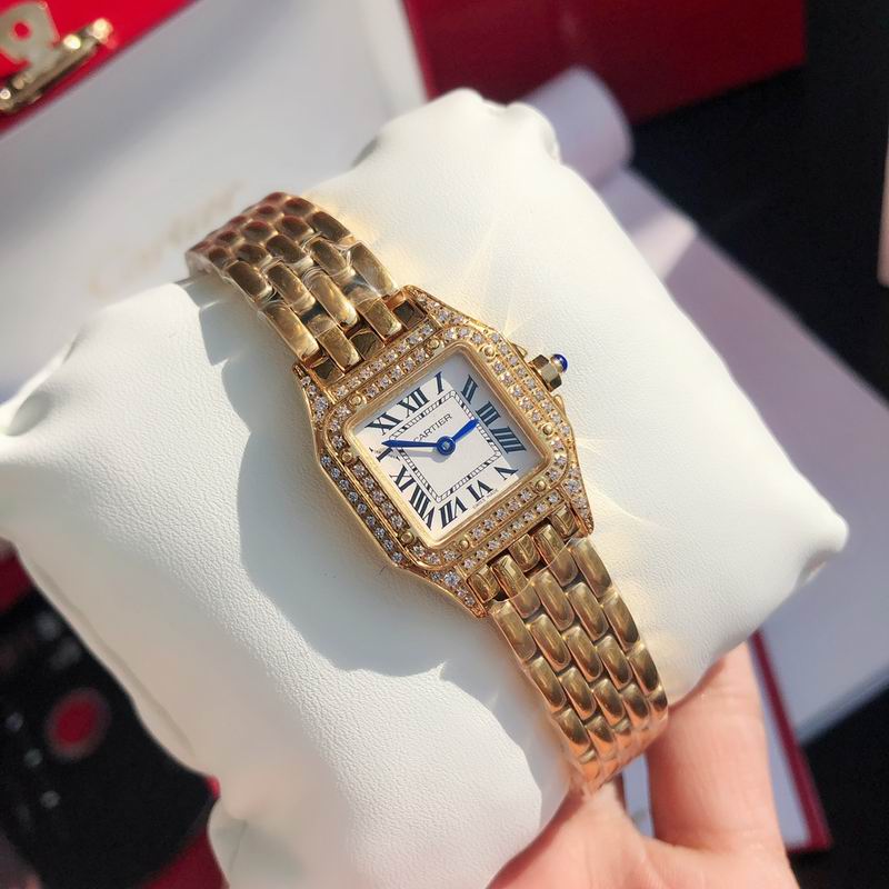 Cartier 22mm 73 (15)