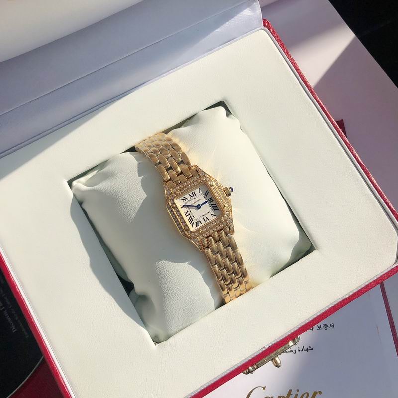 Cartier 22mm 73 (17)