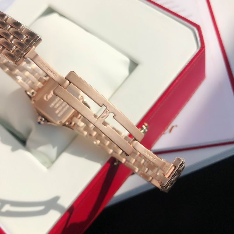 Cartier 22mm 73 (19)