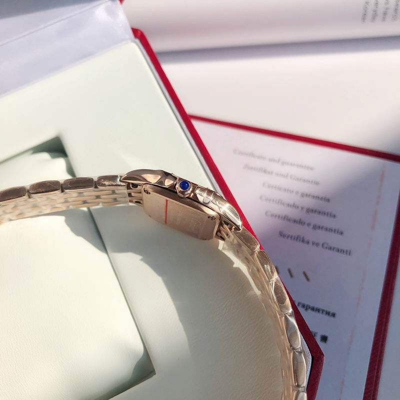 Cartier 22mm 73 (21)