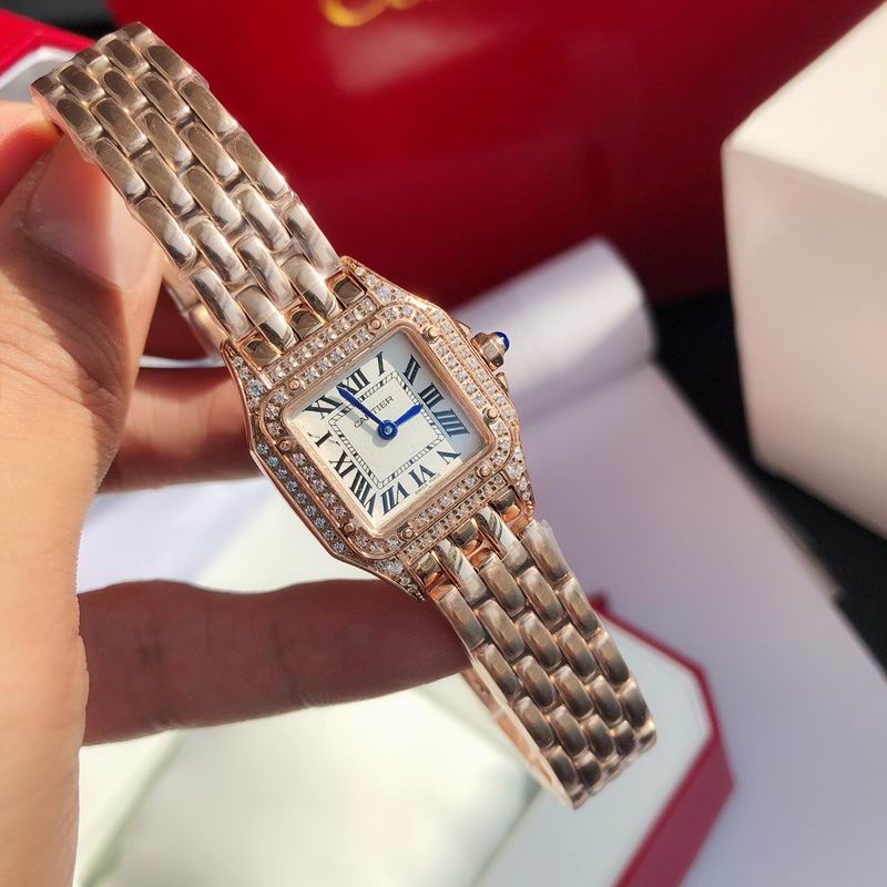 Cartier 22mm 73 (22)