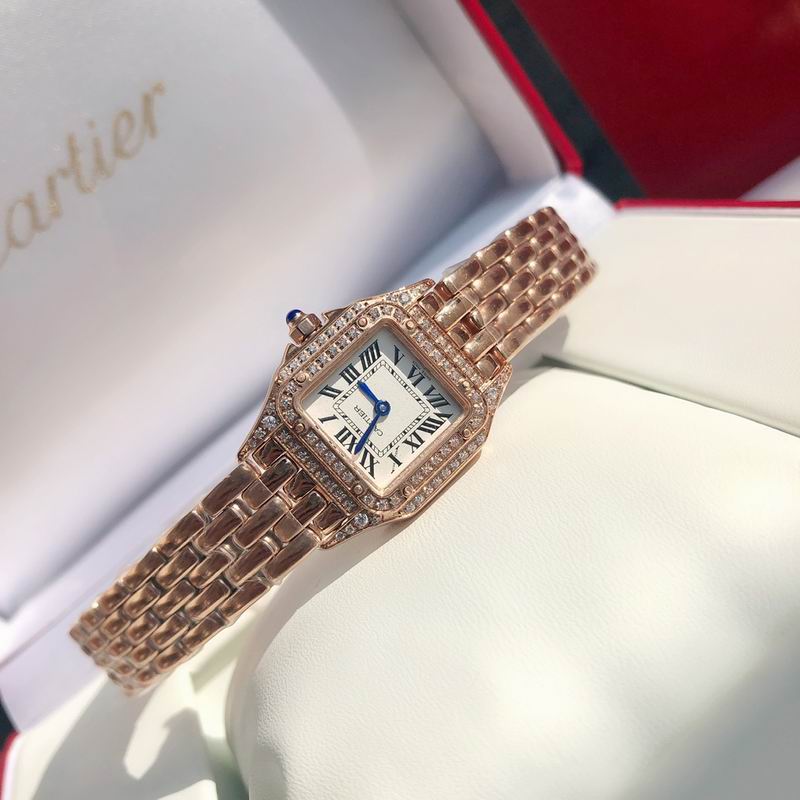 Cartier 22mm 73 (23)