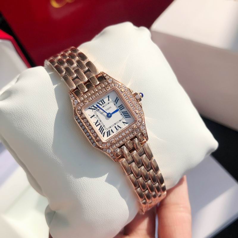 Cartier 22mm 73 (24)