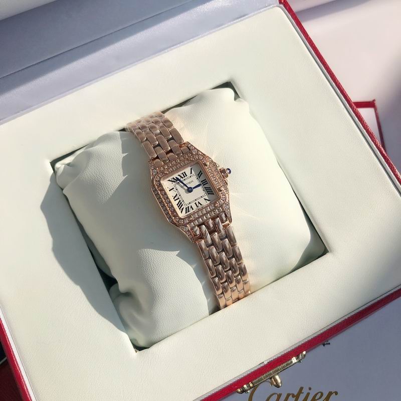 Cartier 22mm 73 (26)