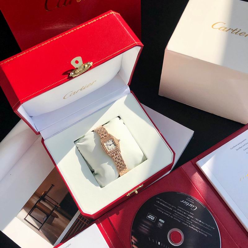 Cartier 22mm 73 (27)