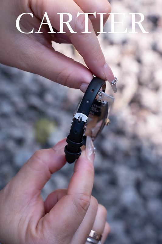 Cartier 23X30mm 102 (1)