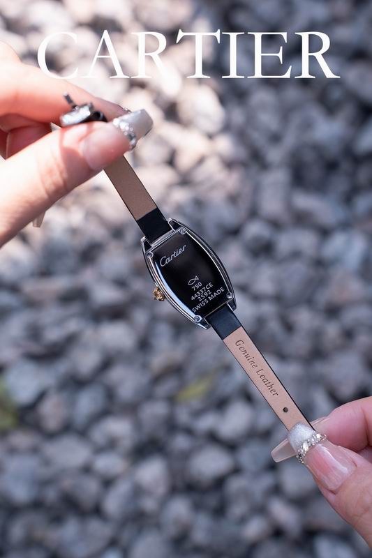 Cartier 23X30mm 102 (2)