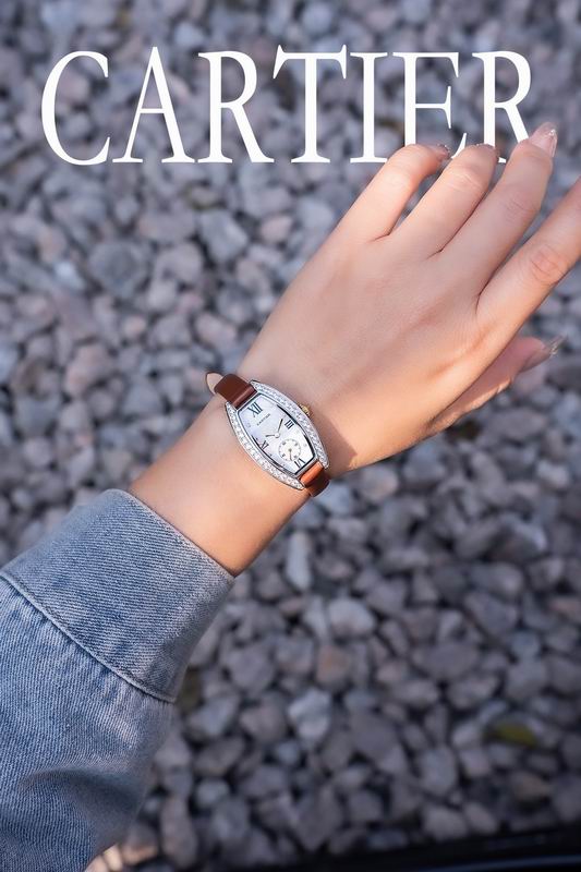 Cartier 23X30mm 102 (4)
