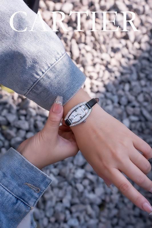 Cartier 23X30mm 102 (6)