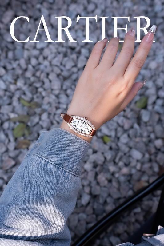 Cartier 23X30mm 102 (7)