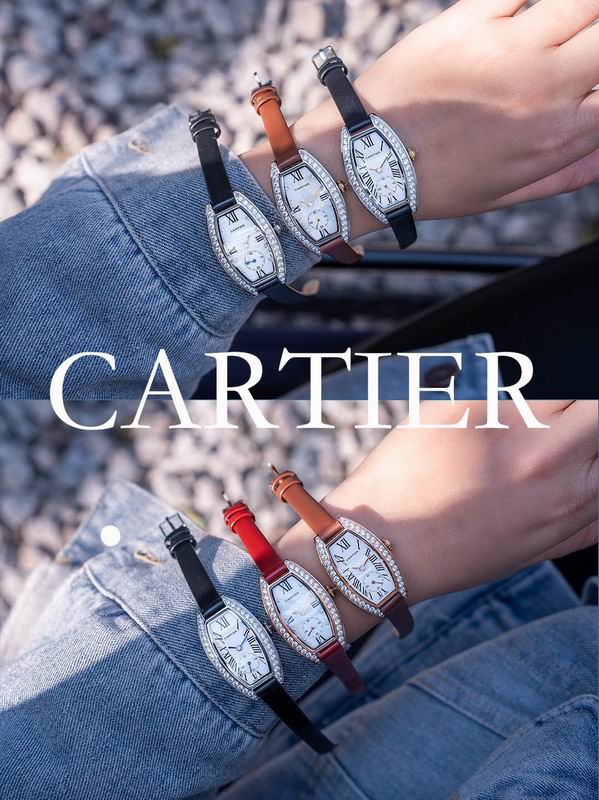 Cartier 23X30mm 47 (3)