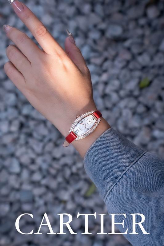 Cartier 23X30mm 47 (5)