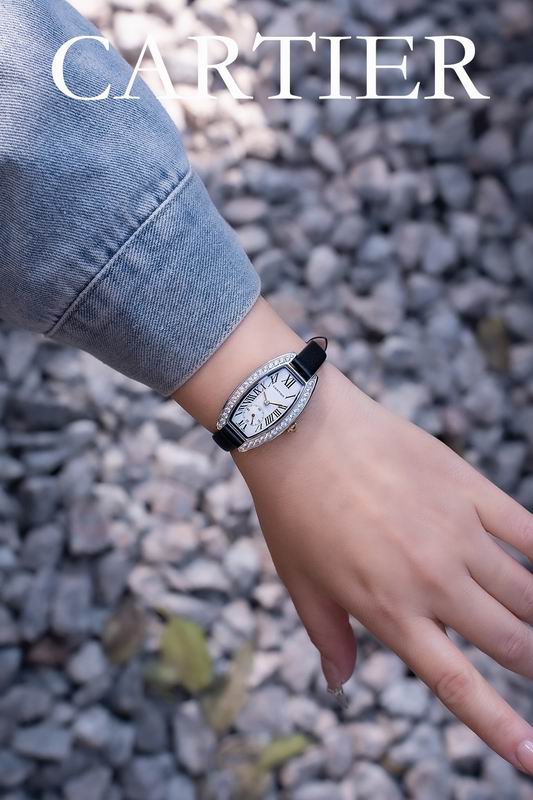 Cartier 23X30mm 47 (8)