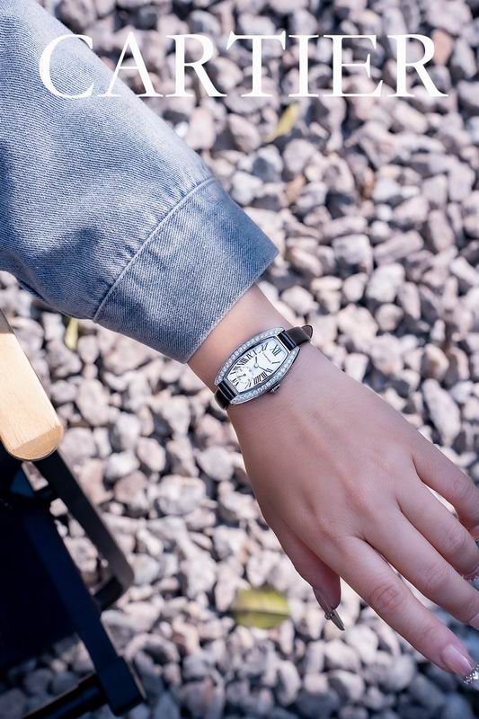 Cartier 23X30mm 47 (9)