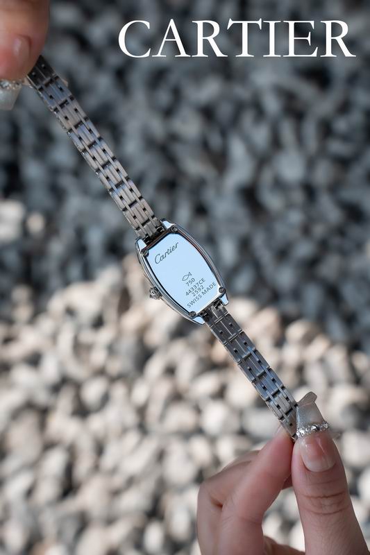 Cartier 23X30mm 53 (2)