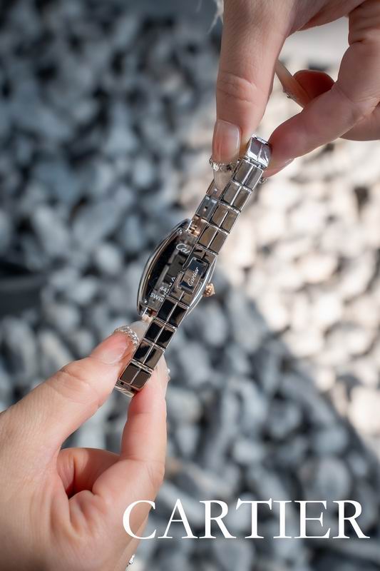 Cartier 23X30mm 53 (3)