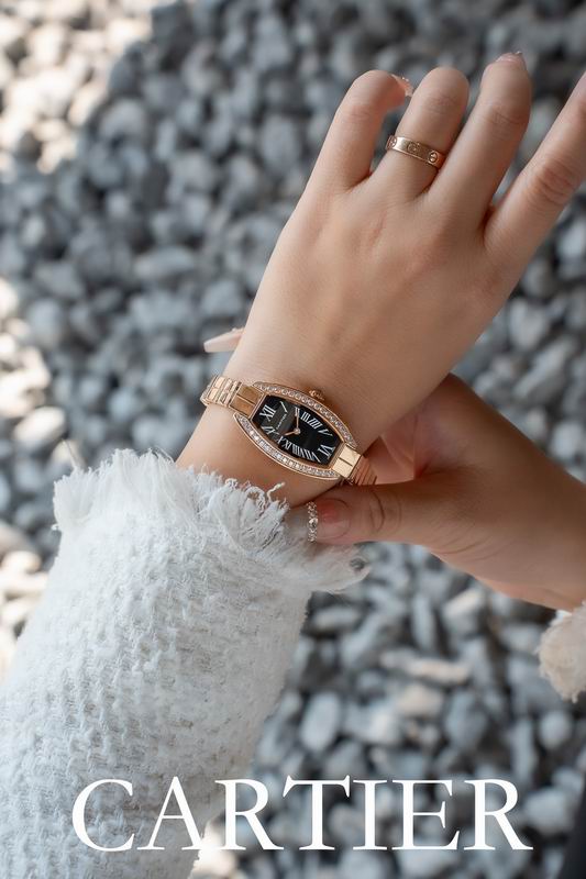 Cartier 23X30mm 53 (4)