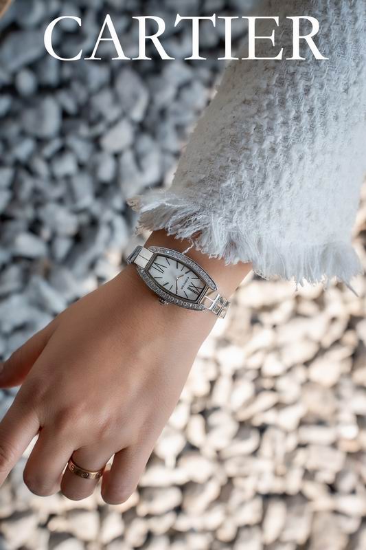 Cartier 23X30mm 53 (5)