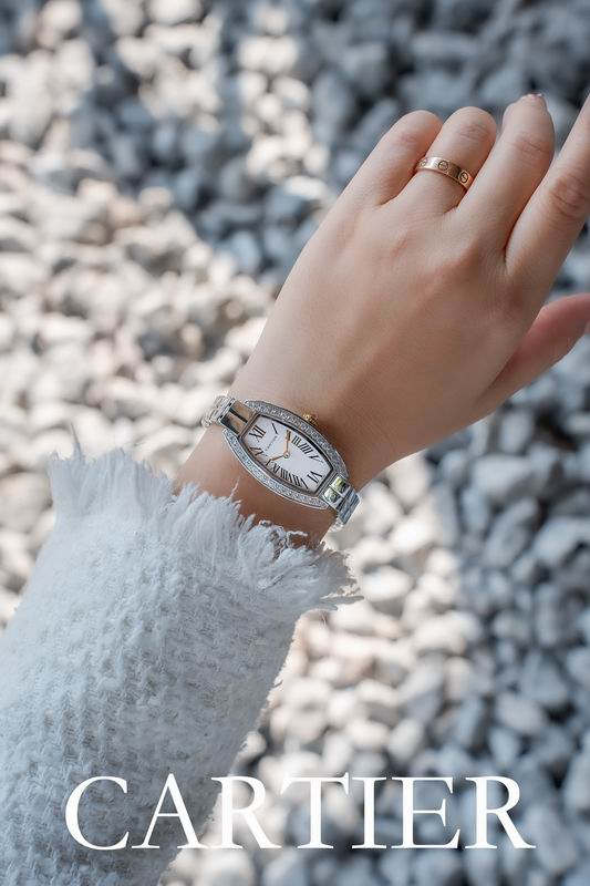 Cartier 23X30mm 53 (6)