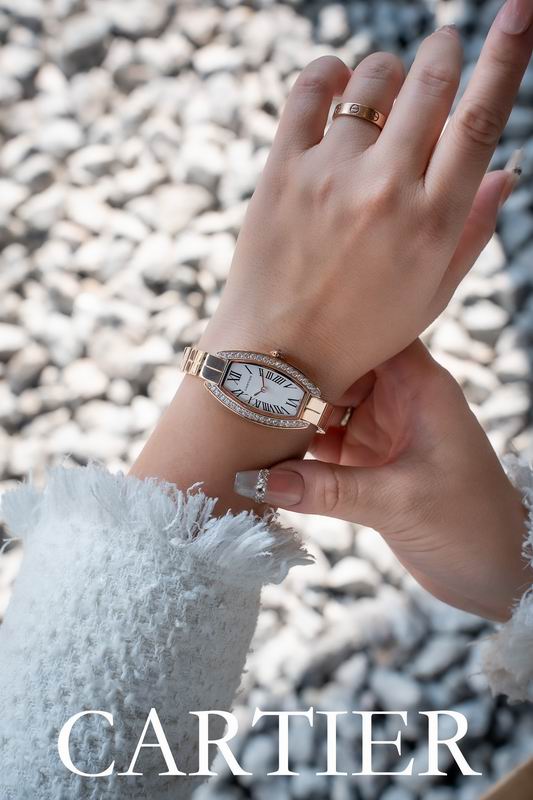 Cartier 23X30mm 53 (8)