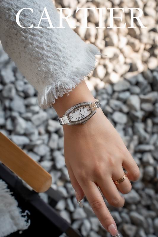 Cartier 23X30mm 53 (9)