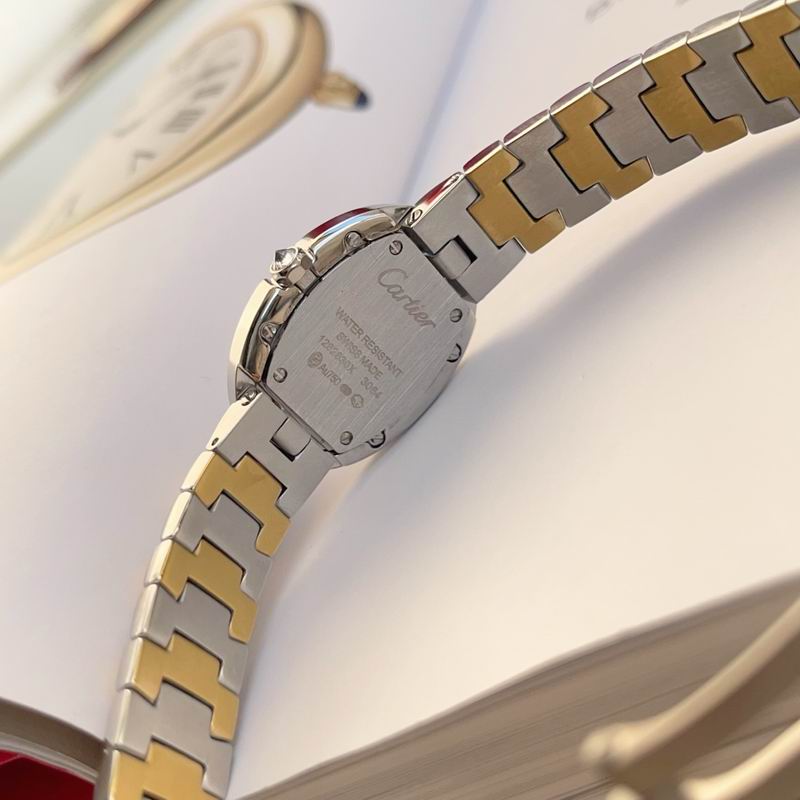 Cartier 23X31mm 60 (30)