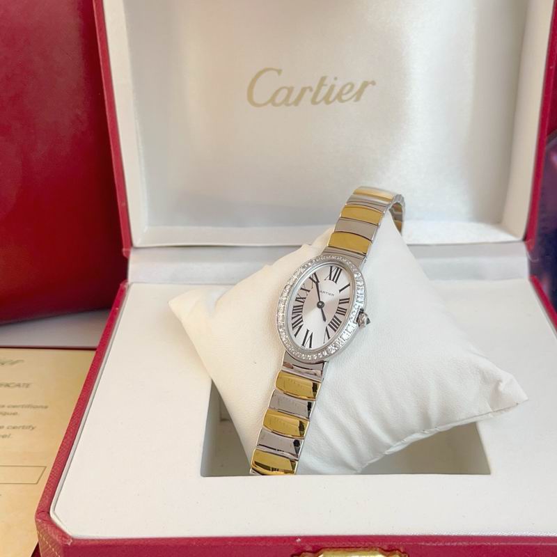 Cartier 23X31mm 60 (32)