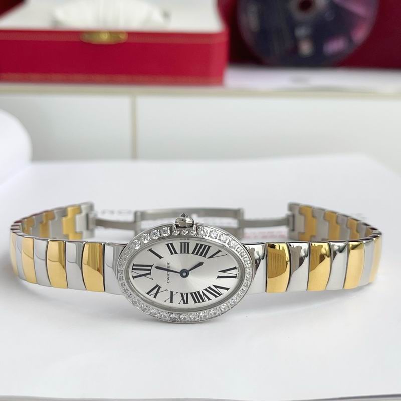 Cartier 23X31mm 60 (35)