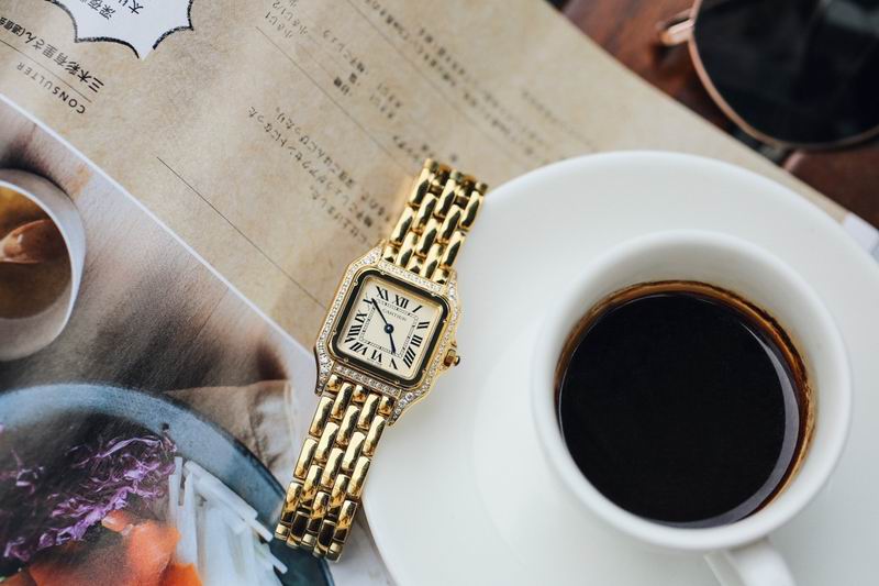 Cartier 27X37mm 76 (1)