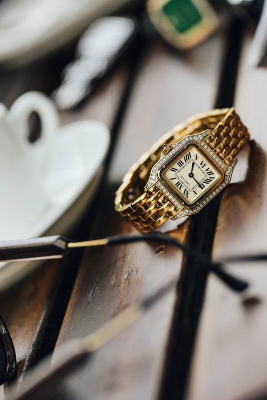 Cartier 27X37mm 76 (4)