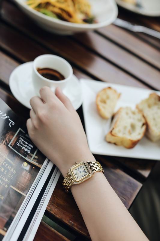 Cartier 27X37mm 76 (6)