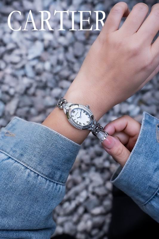 Cartier 30mm 104 (7)