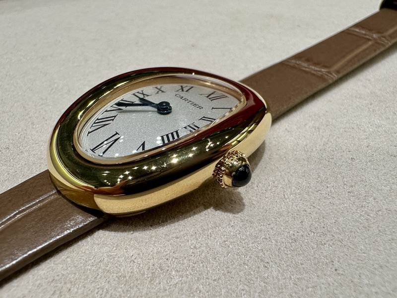 Cartier 32X26mm 30 (18)