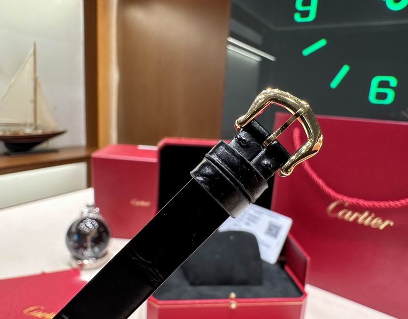 Cartier 32X26mm 30 (2)
