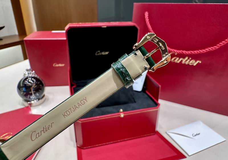 Cartier 32X26mm 31 (15)