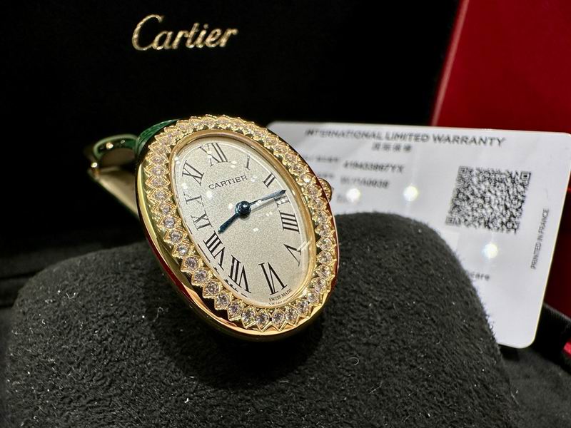 Cartier 32X26mm 31 (17)