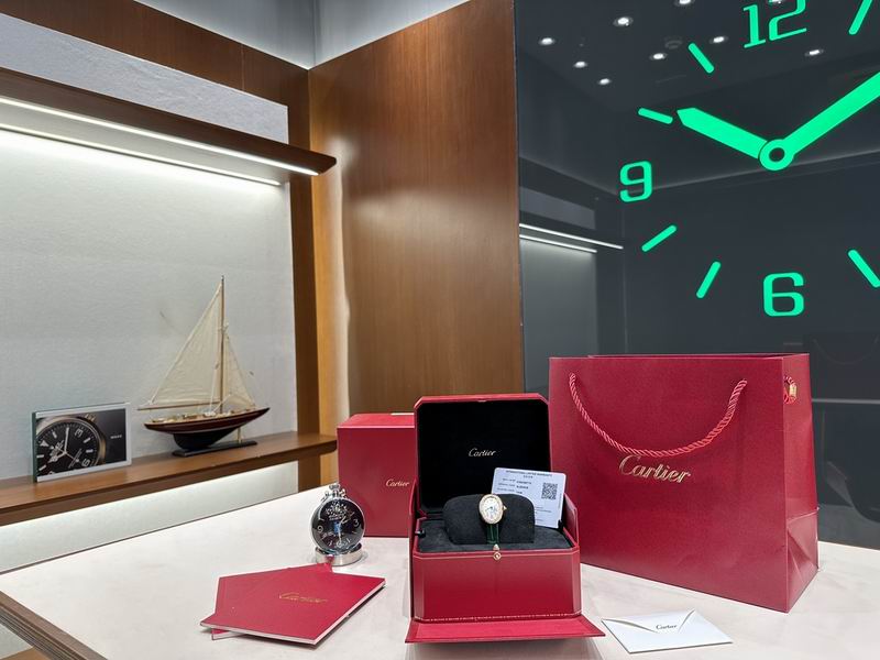 Cartier 32X26mm 31 (21)