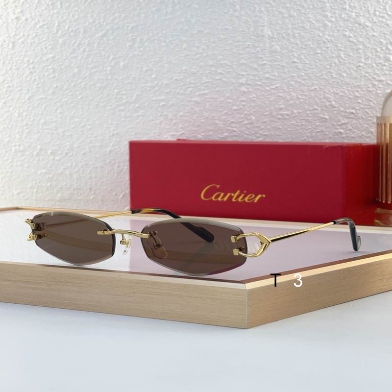 Cartier CT0467S 57 18-140 c01