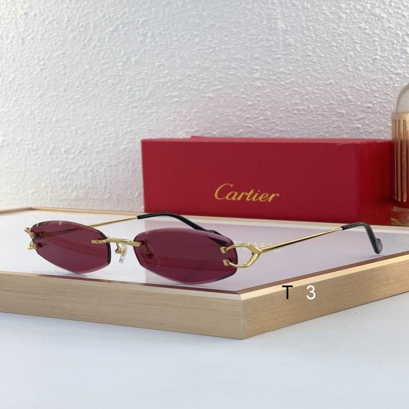 Cartier CT0467S 57 18-140 c02