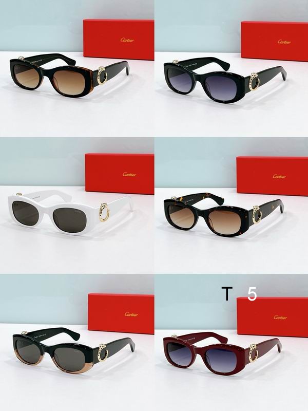 Cartier CT047S 56 19-145 F08