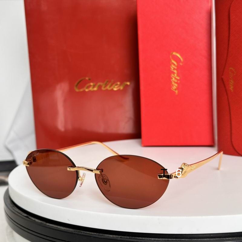Cartier CT0504S 58 18-135 e03