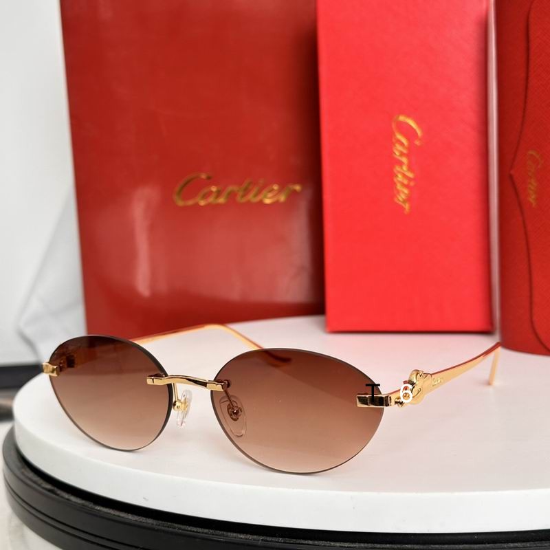 Cartier CT0504S 58 18-135 e04