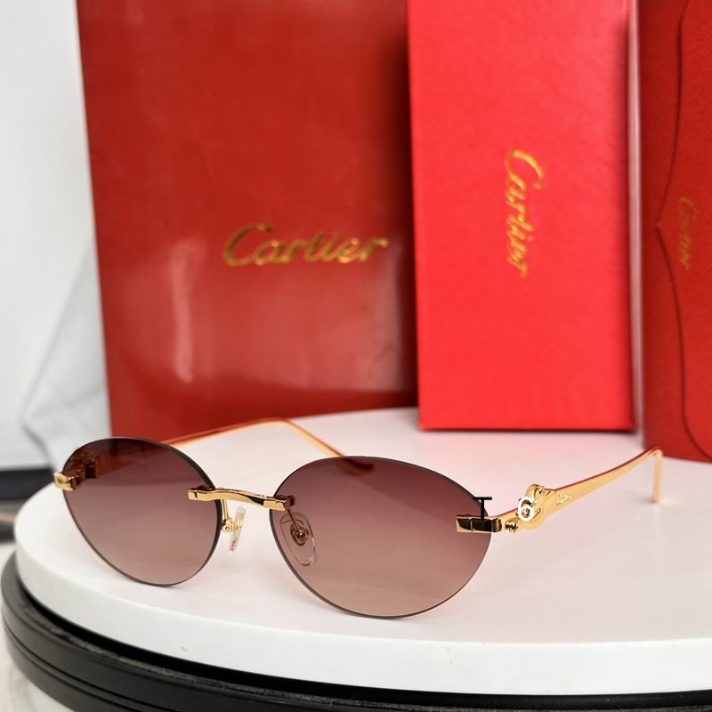 Cartier CT0504S 58 18-135 e05