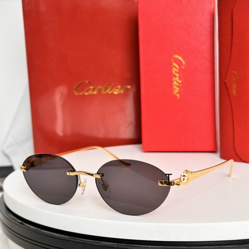 Cartier CT0504S 58 18-135 e06